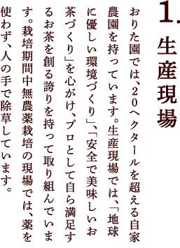 おりた園では、20ヘクタールを超える自家農園を持っています。生産現場では、「地球に優しい環境づくり」、「安全で美味しいお茶づくり」を心がけ、プロとして自ら満足するお茶を創る誇りを持って取り組んでいます。栽培期間中無農薬栽培の現場では、薬を使わず、人の手で除草しています。